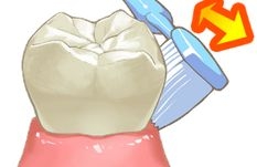 歯ブラシの動き2